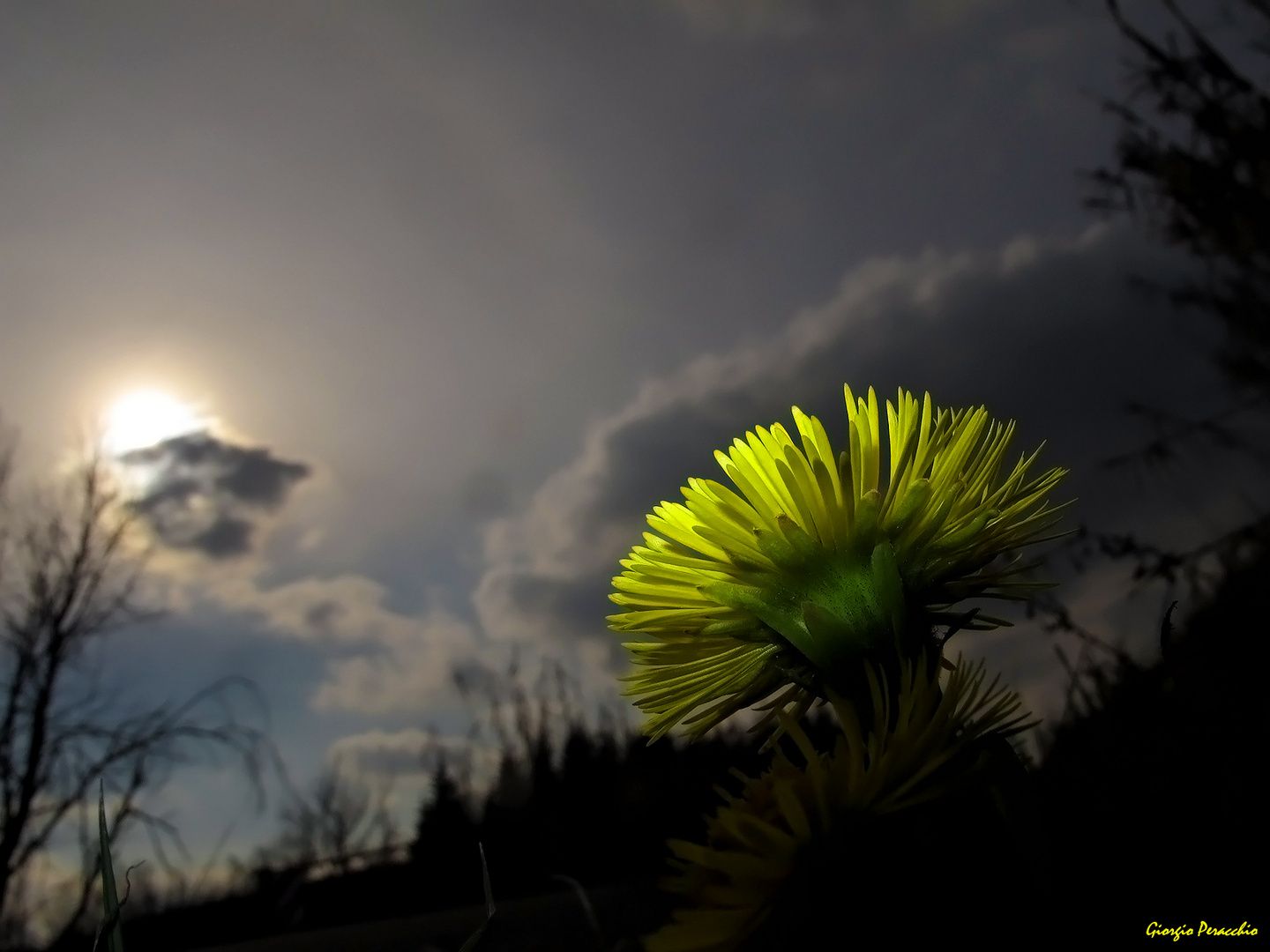 Un goccio di Sole