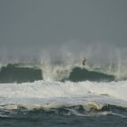 UN GOELAND JOUE AVEC LES VAGUES