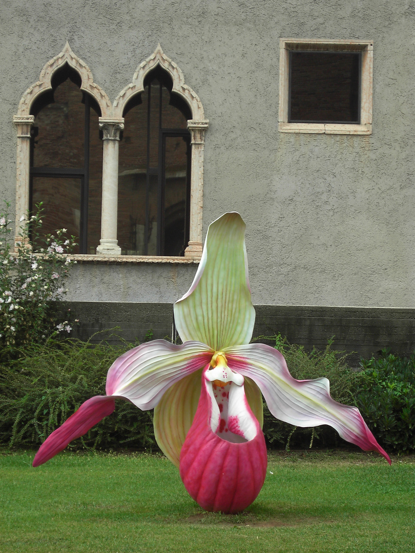 un gran fiore