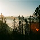 Un grand désastre de 4000 hectares.