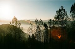 Un grand désastre de 4000 hectares.