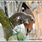 un gros appétit.L..