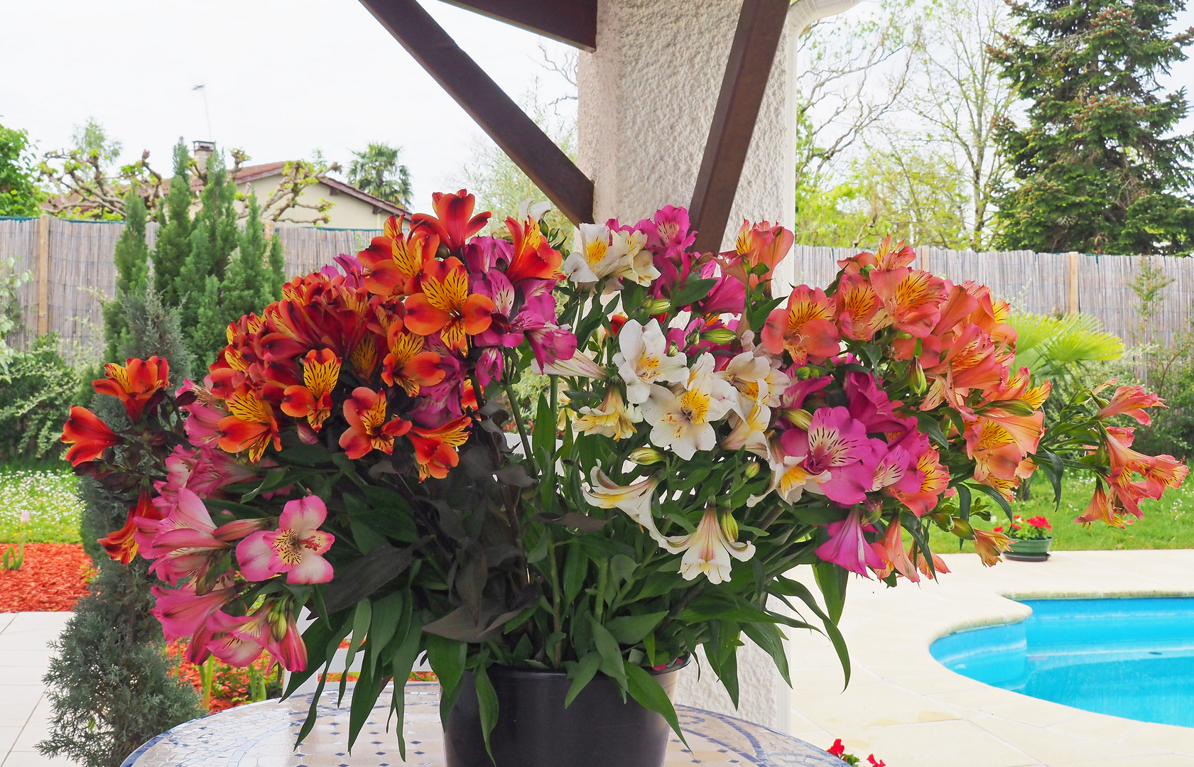 Un gros bouquet d’alstroemères