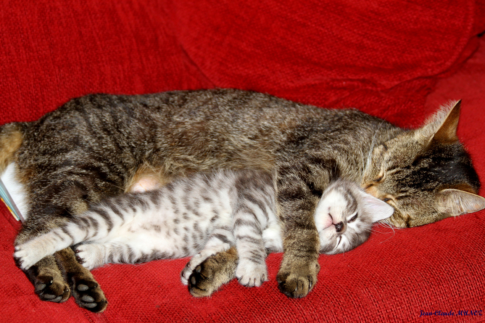 Un gros câlin avec maman........