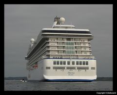 " Un gros "cul" dans la baie de Concarneau "