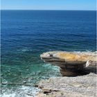 Un gros lézard prend le soleil sur la Corniche Basque