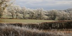 Un hiver en Morvan...