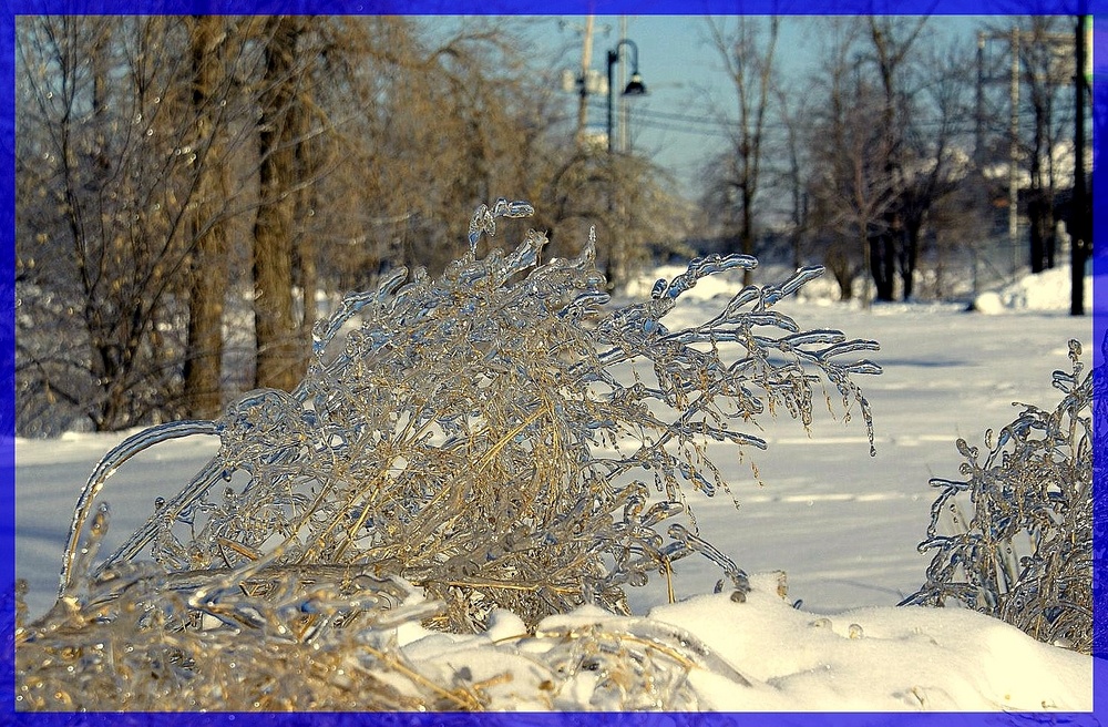 UN HIVER RIGOUREUX