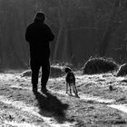 un homme et son chien..