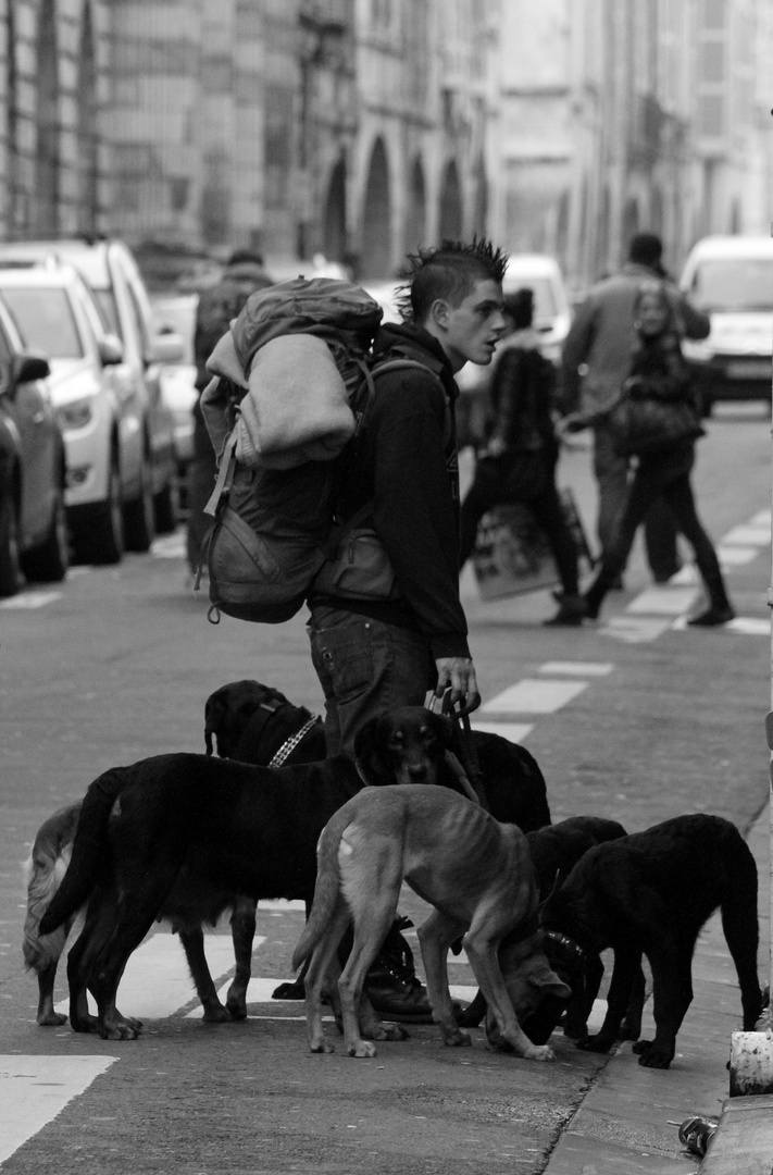 Un homme qui a du chien