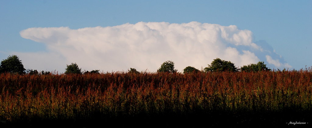 Un iceberg en pleine campagne !