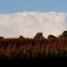 Un iceberg en pleine campagne !