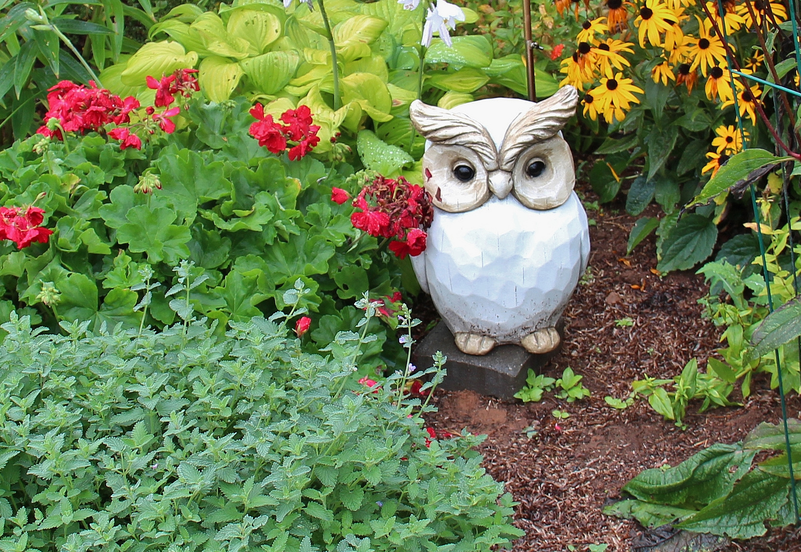 Un immense et chouette merci ! photo et image cartes de voeux