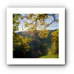 Un incantevole autunno