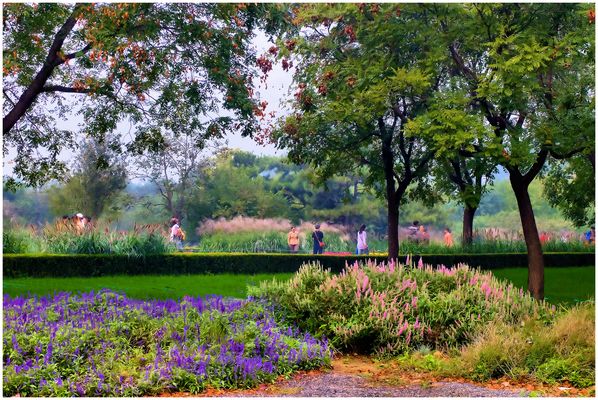 Un jardin botanique...