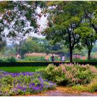 Un jardin botanique...