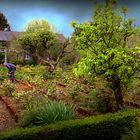 Un jardin dans la Manche / 2 