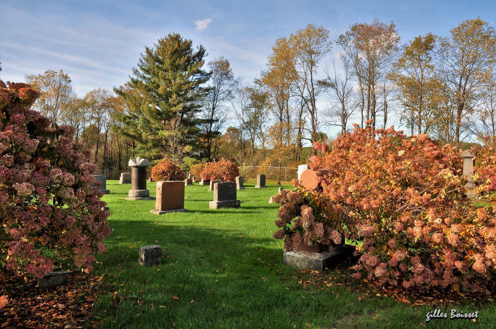 un jardin d'éternité