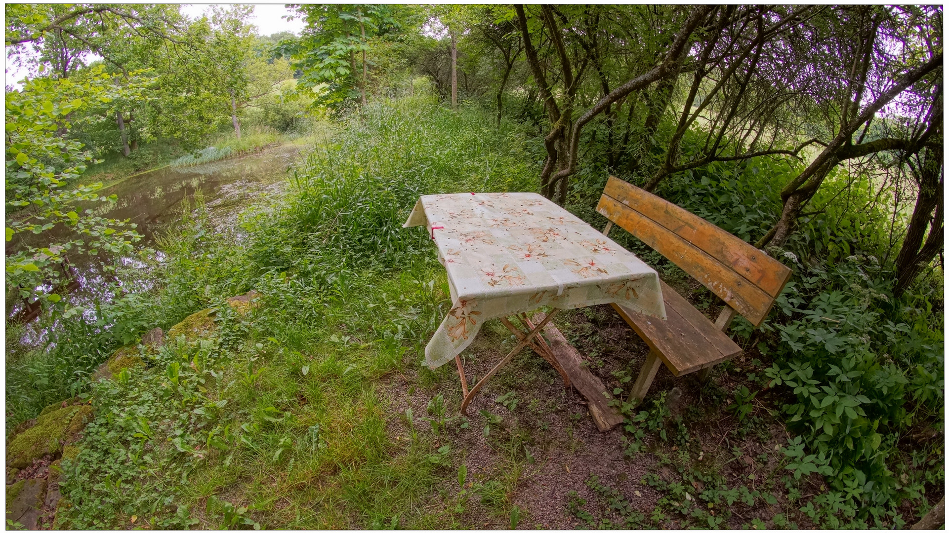 Un jardín entre los prados (ein Garten zwischen den Wiesen)