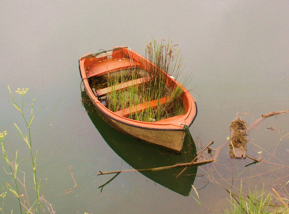 Un jardin flotante.