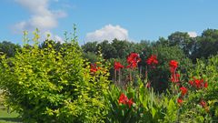 Un jardin près des remparts de Larressingle