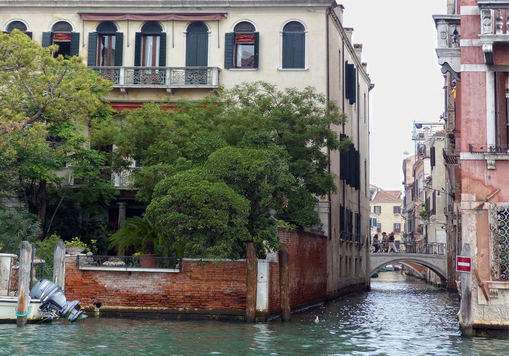 Un jardin sur le grand canal.