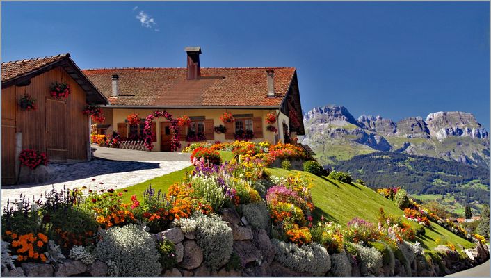 un jardinier émérite.....