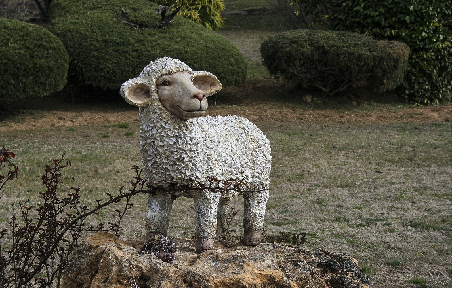 Un joli petit mouton .....