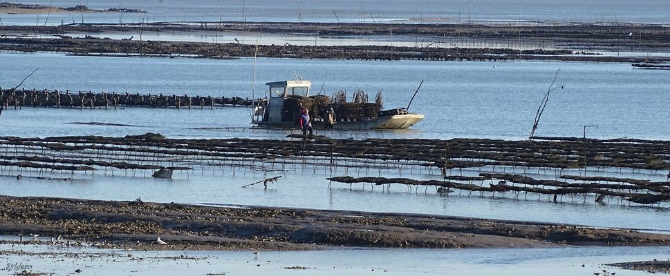 Un jour comme les autres