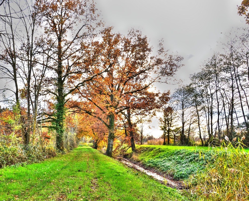 Un jour d'automne