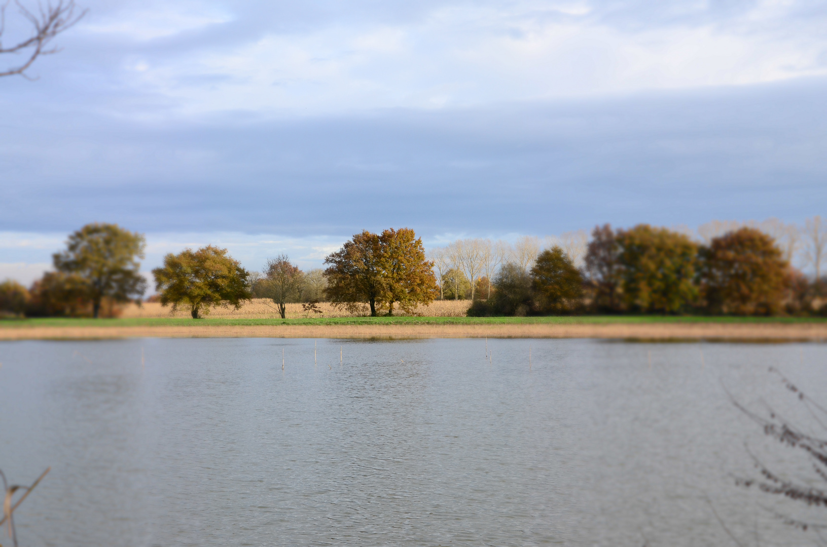 Un jour d'automne