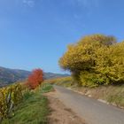 Un jour d'automne en Alsace