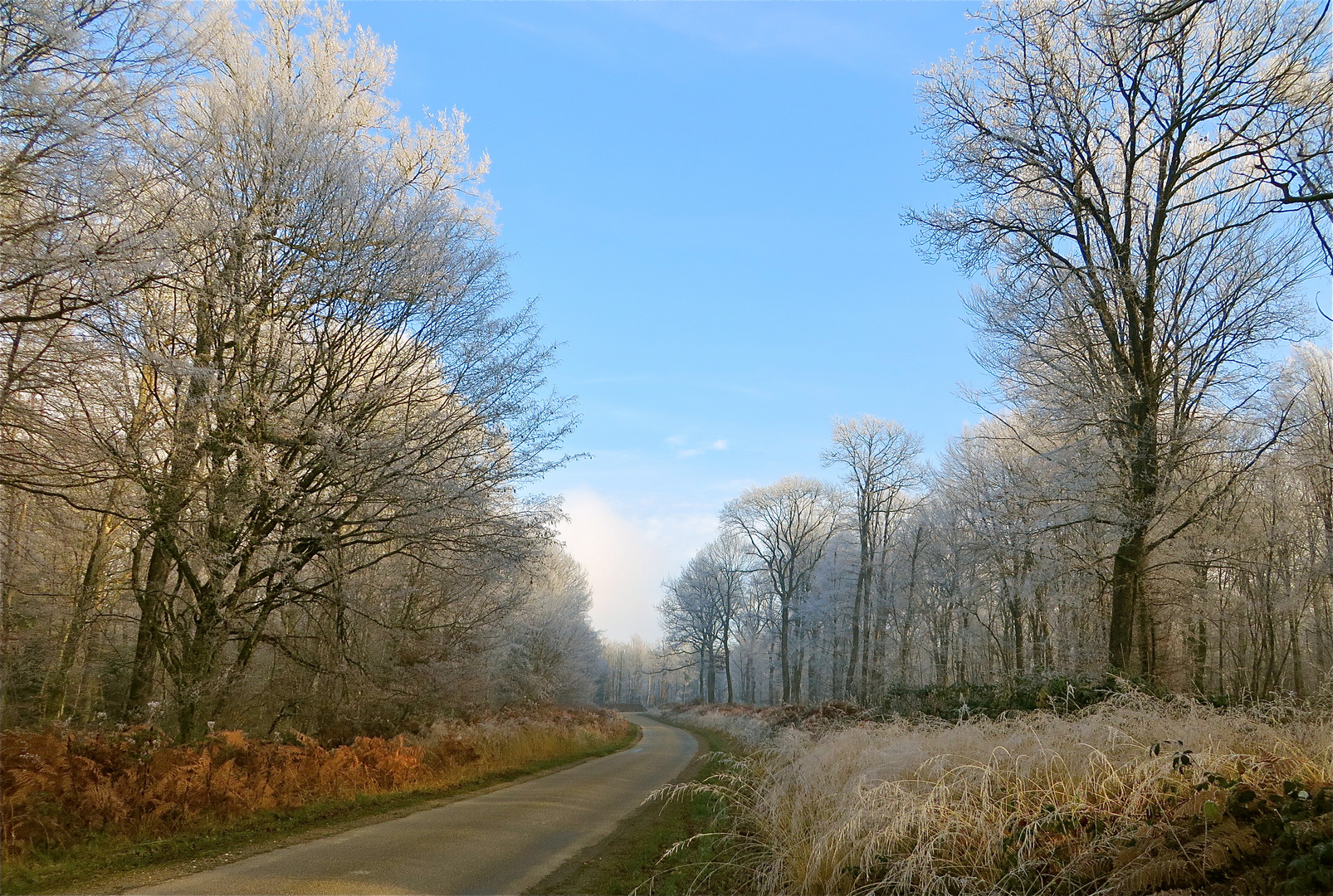 ... un jour de froid !!!...