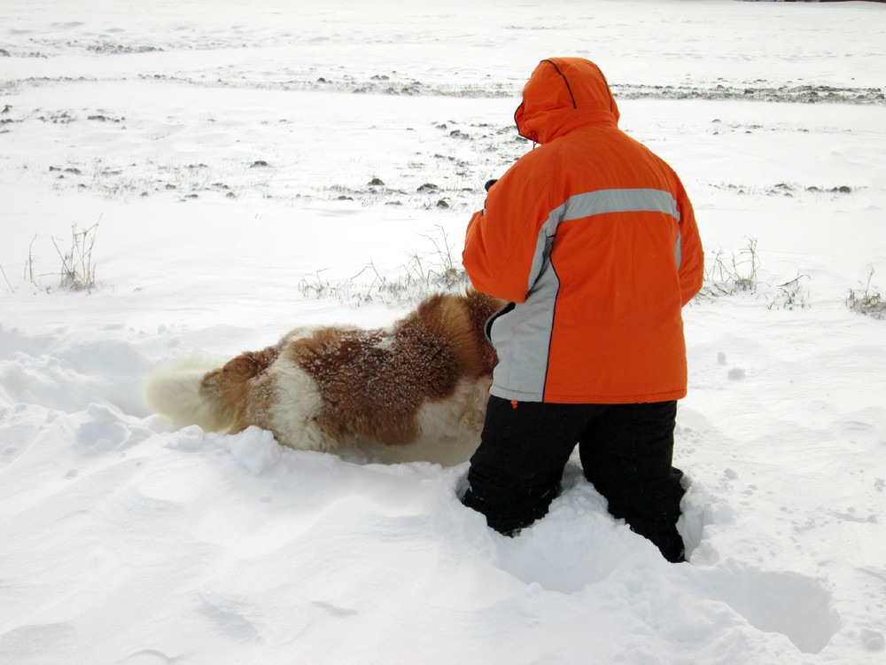 Un jour de neige...