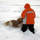 Un jour de neige...