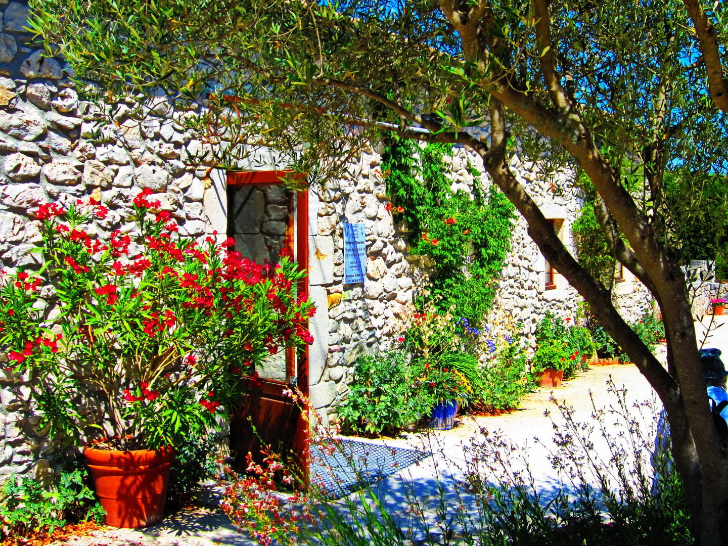 Un jour d'ètè en Provence - Ein Sommertag in der Provence