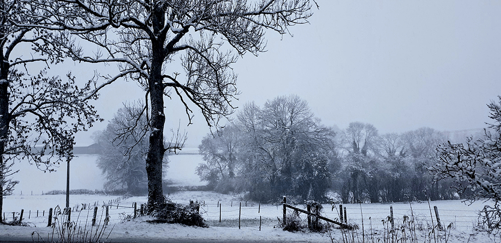 Un jour d'hiver