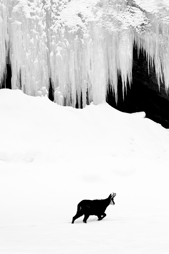 Un jour d'hiver