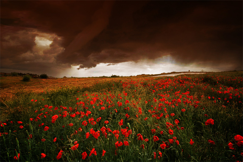 Un jour d'orage