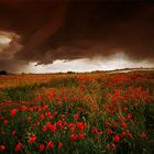 Un jour d'orage