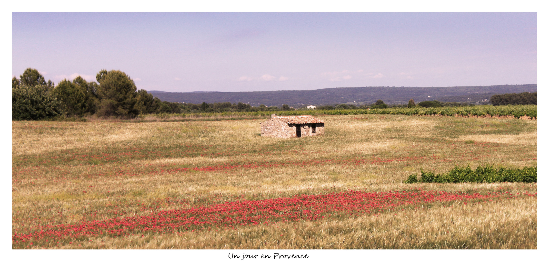 un jour en Provence