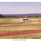 un jour en Provence