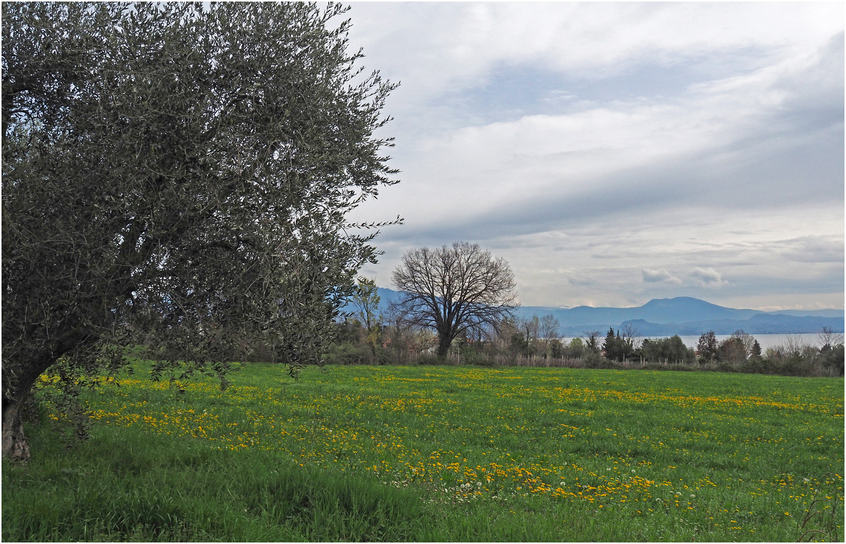 Un jour gris sur le Lac de Garde