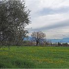 Un jour gris sur le Lac de Garde