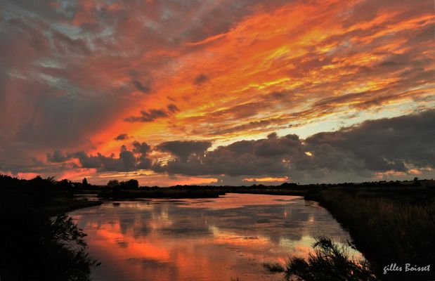 un jour viendra couleur d'orange