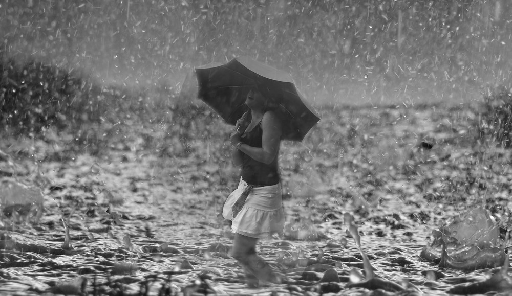 un jours sous la pluie