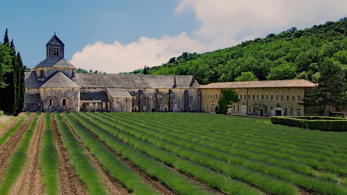 un  joyau de provence  : Sénanque  ( 1148 )