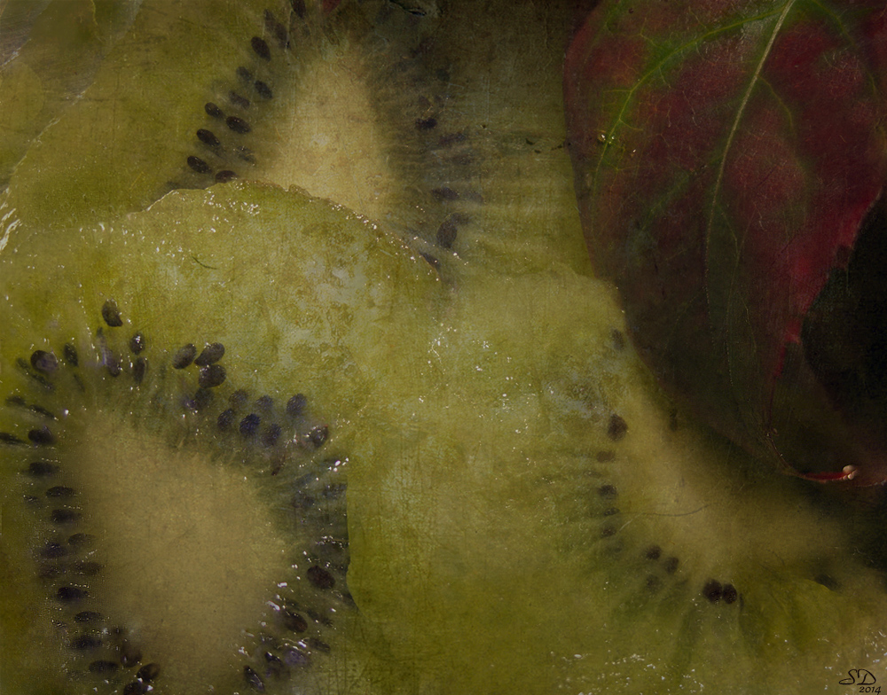 Un kiwi en automne