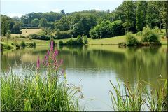 Un lac dans le Limousin !