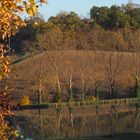 Un lac du Gers en automne